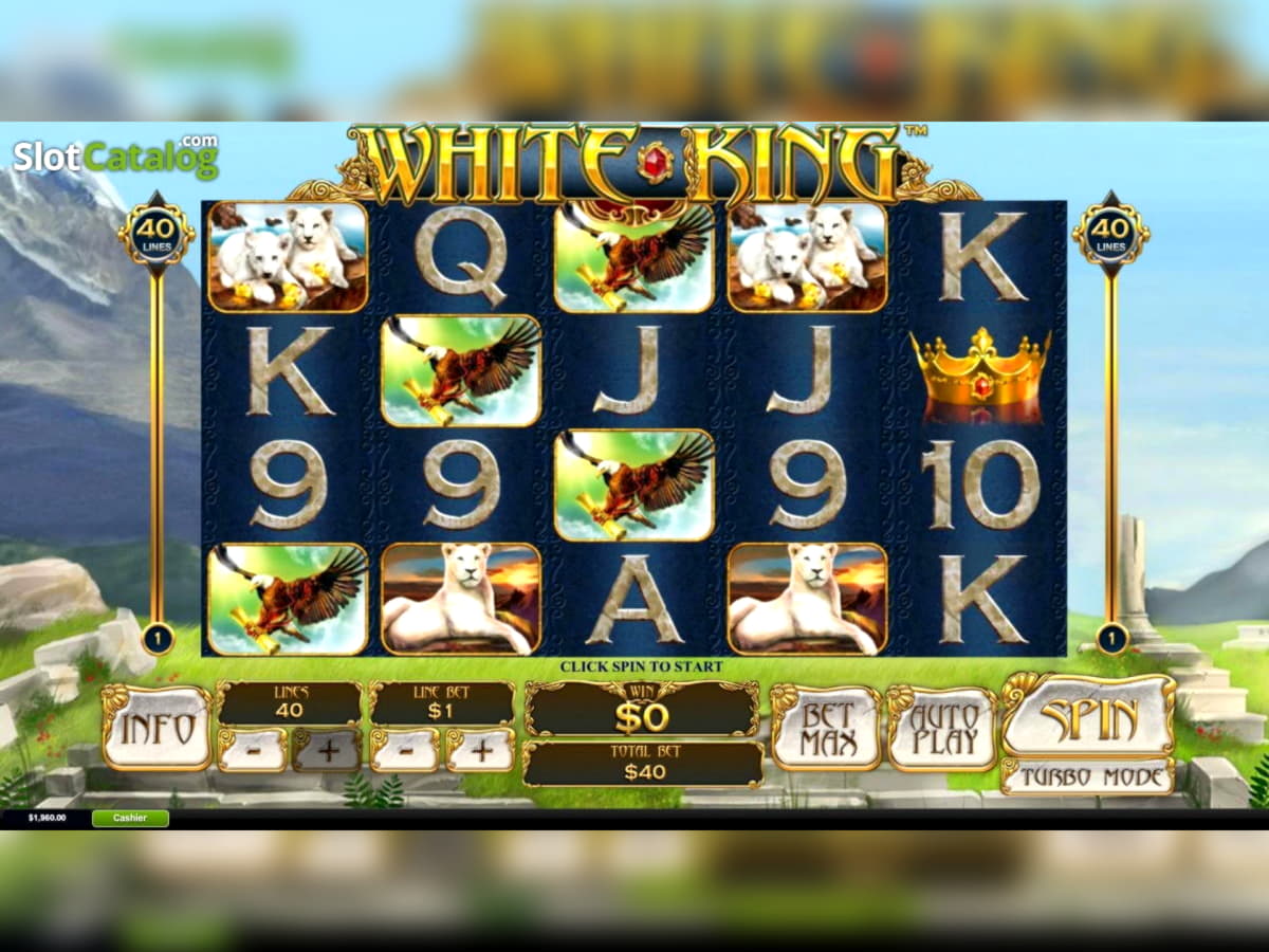 EURO 4740 NO DEPOSIT at Slotty Dubai Casino
