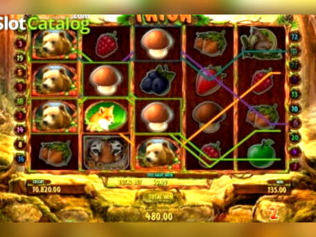 €3110 No Deposit Bonus at Canada Casino 