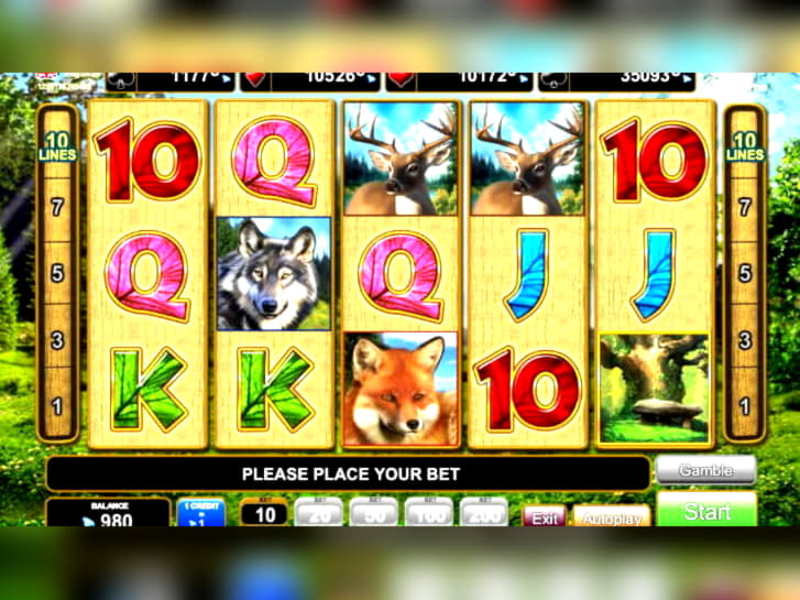 €310 Free chip casino at Betwinner Casino