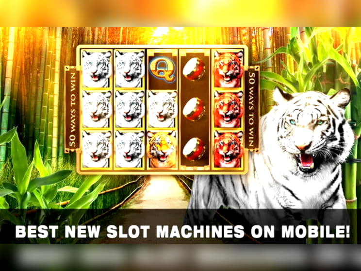 $100 Casino Tournament at Mobile Bet Casino