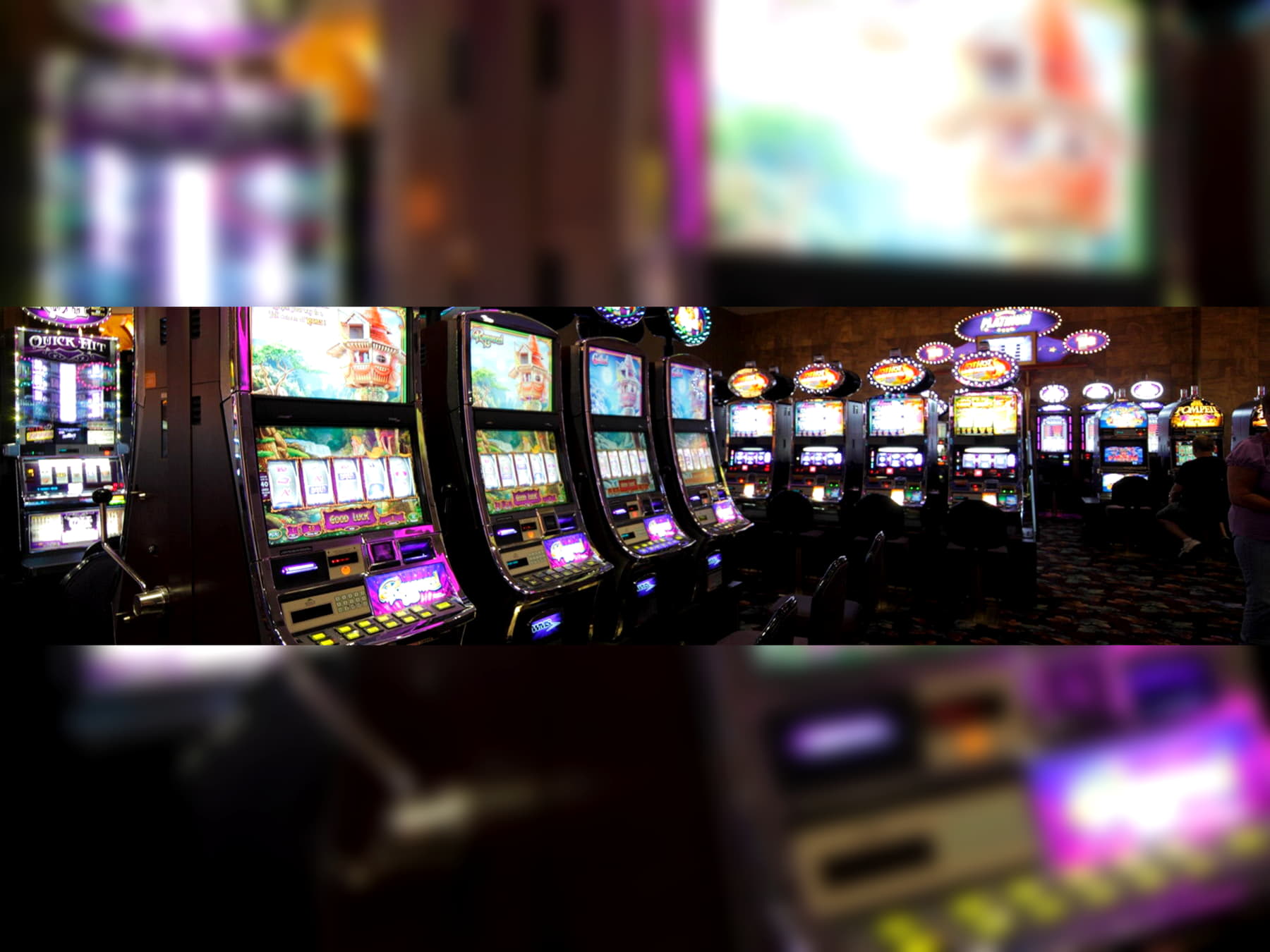 245 FREE SPINS at Royal Panda Casino