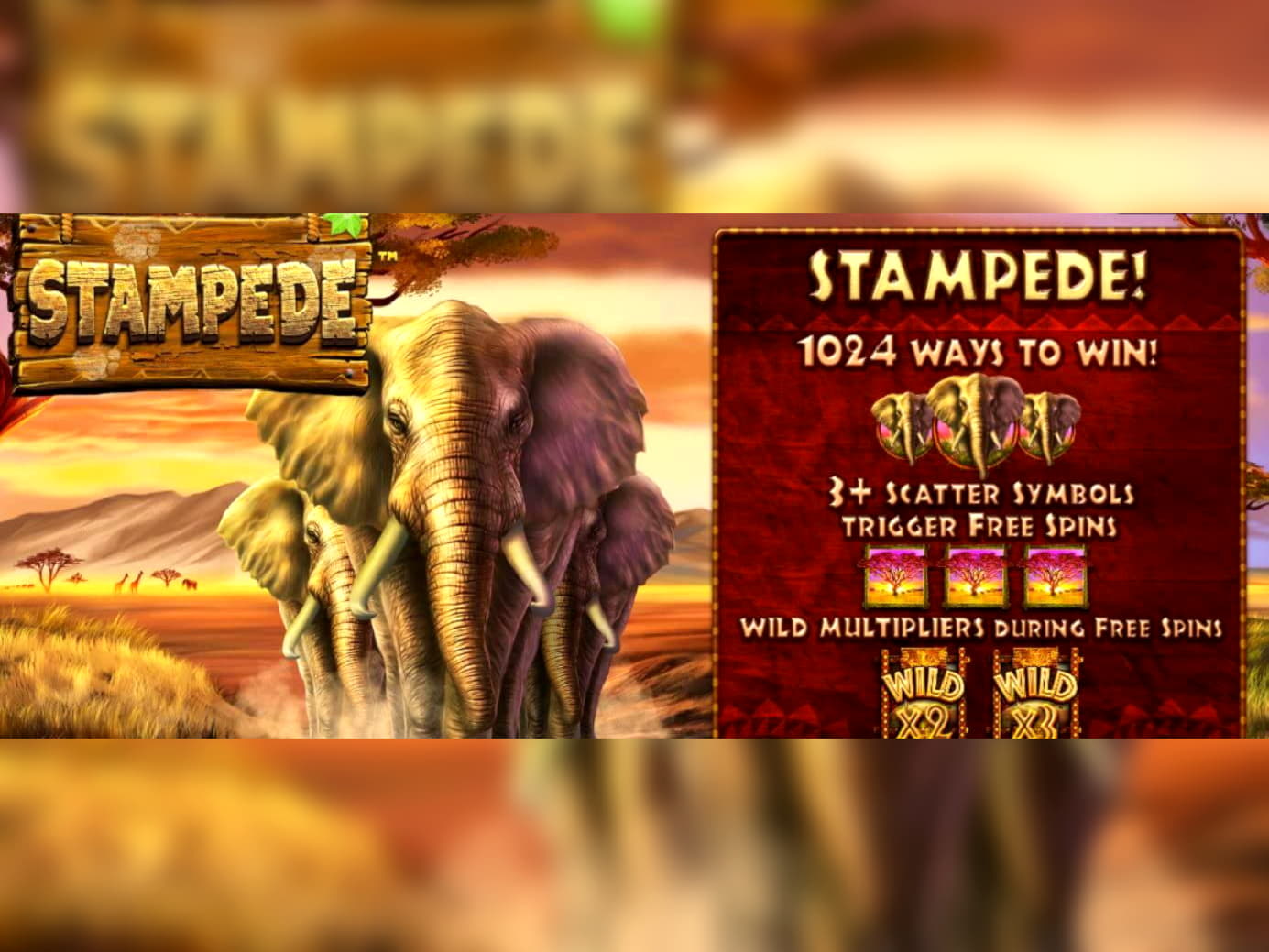 15 Loyalty Free Spins! at Leo Dubai Casino