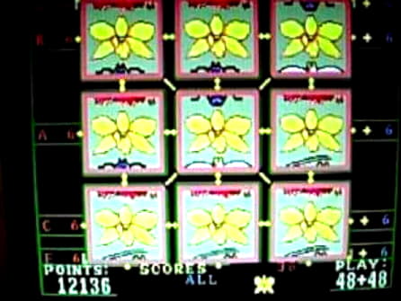 ﻿$390 no deposit bonus at Leo Dubai Casino