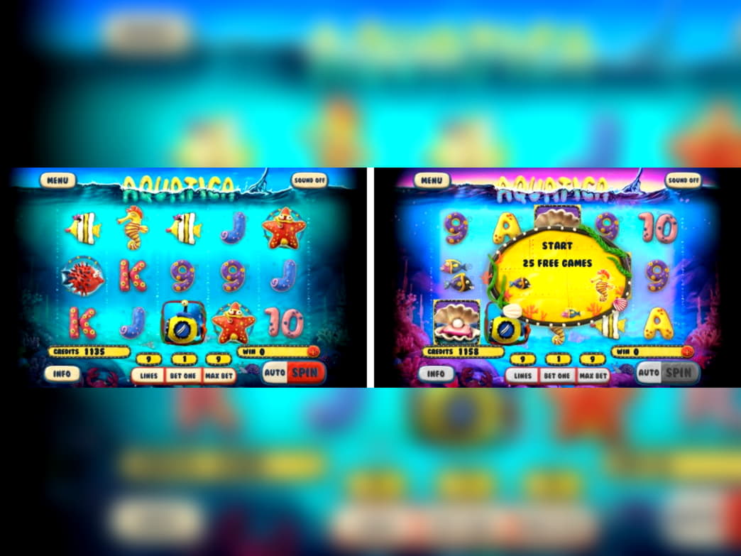 €635 Mobile freeroll slot tournament at Betwinner Casino