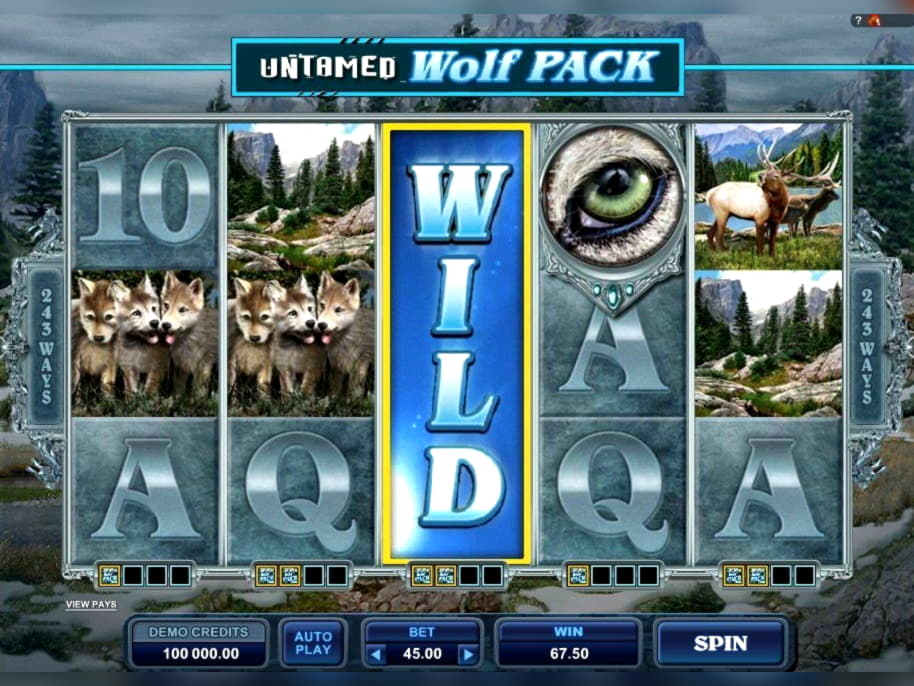 480% Casino Welcome Bonus at Slotty Dubai Casino