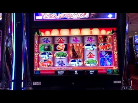 EURO 995 Daily freeroll slot tournament at Hopa Casino