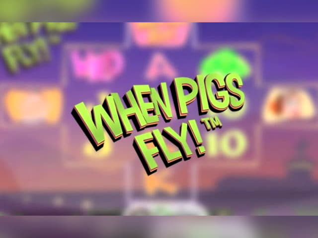 90 Loyalty Free Spins! at Betwinner Casino