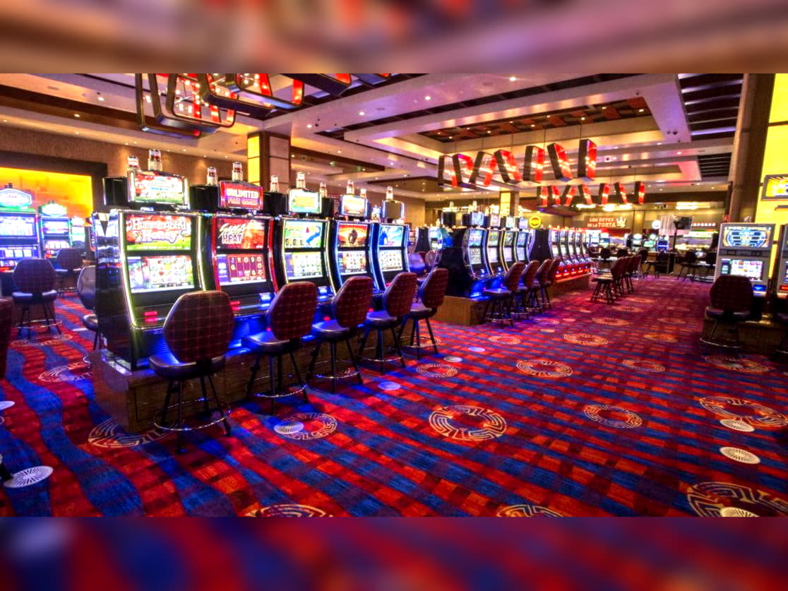 155 free spins no deposit at Hopa Casino