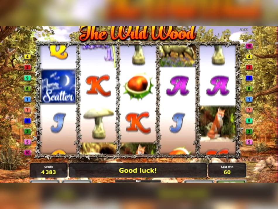 €888 Online Casino Tournament at CoolCat Casino