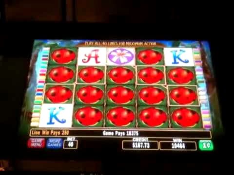 EUR 2915 No Deposit Bonus Code at Superior Casino
