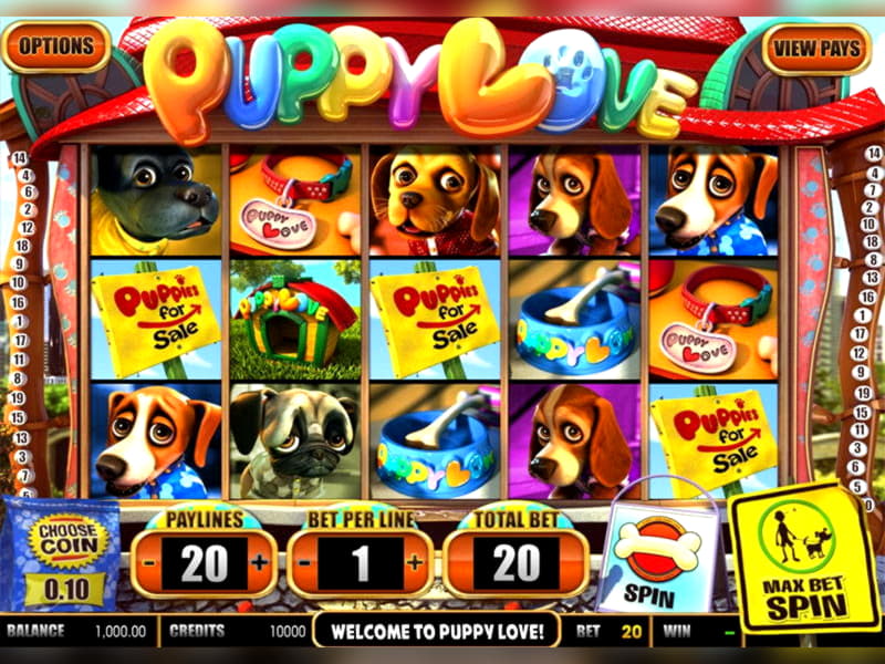 EURO 460 Free Chip Casino at Netherlands Casino 