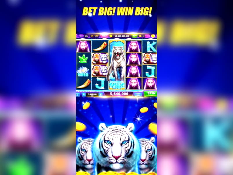 €530 Daily freeroll slot tournament at Leo Dubai Casino