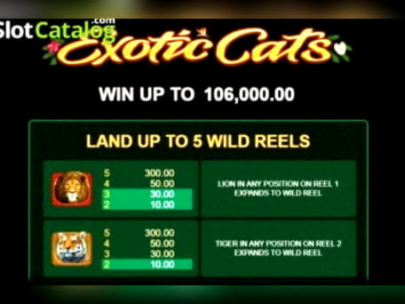 165 Free spins casino at Mongoose Casino