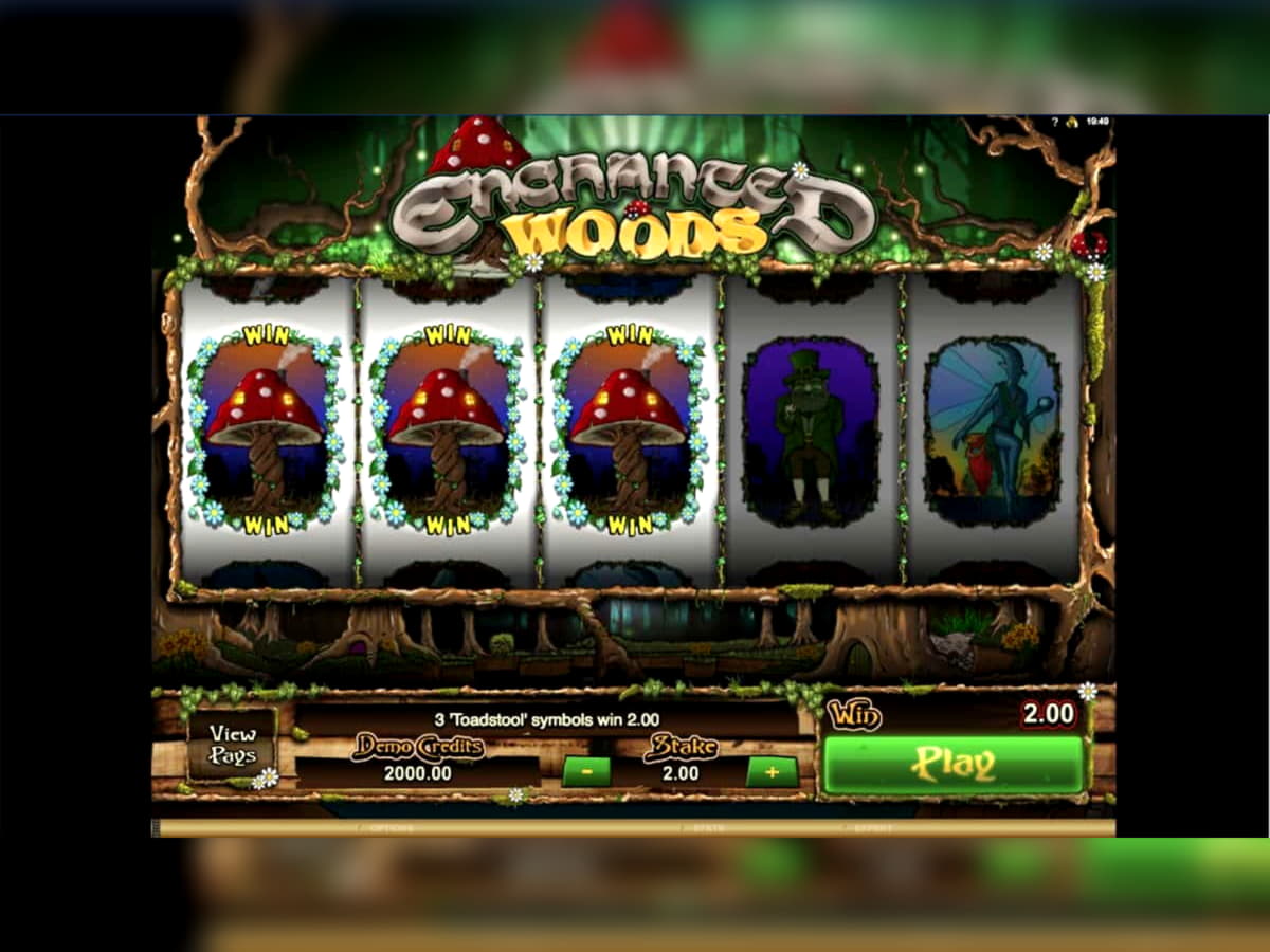 EURO 780 Online Casino Tournament at Leo Dubai Casino