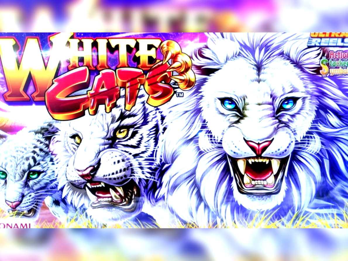 EUR 4735 No deposit bonus code at Leo Vegas Casino