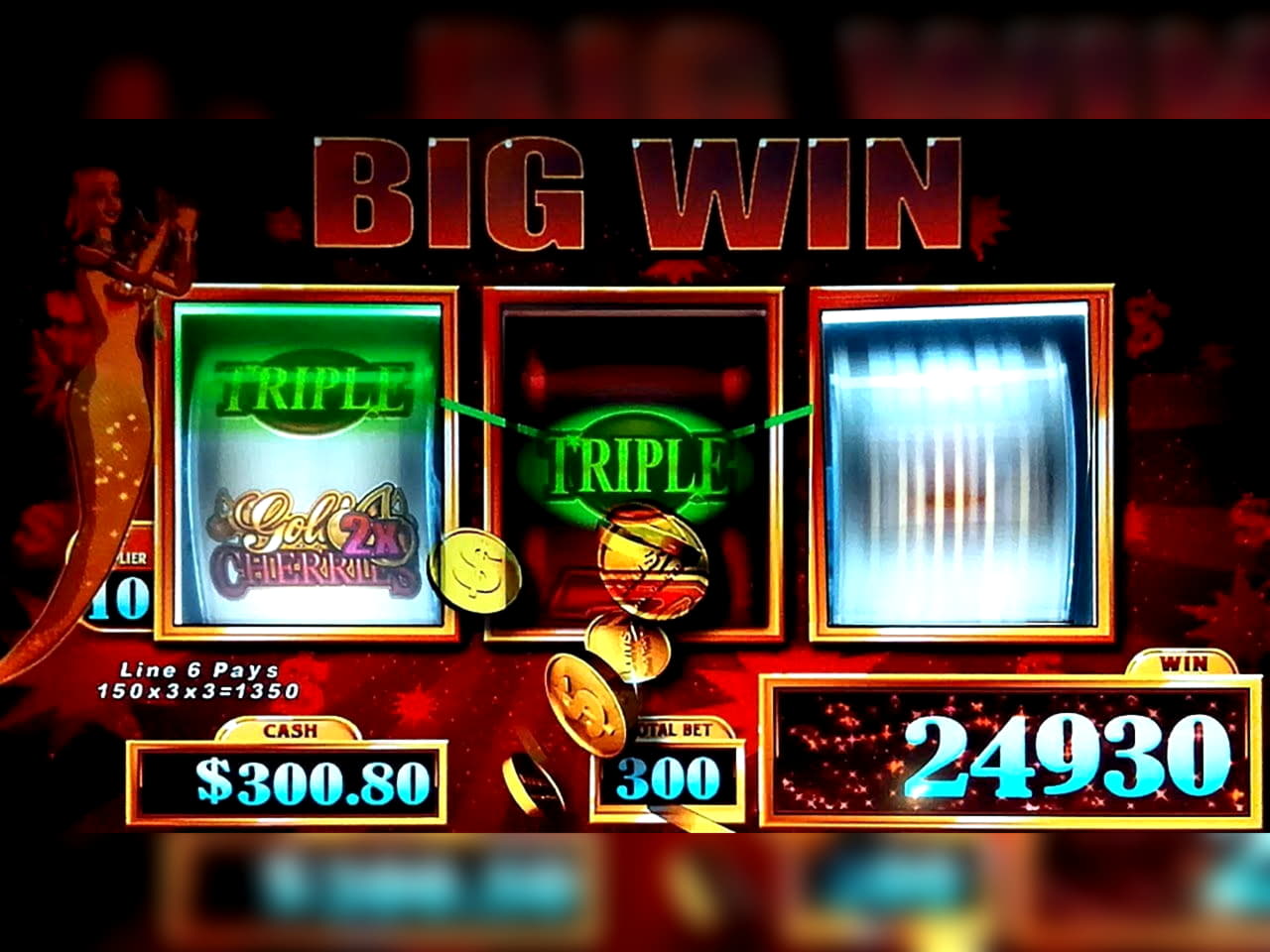 175 Free Spins right now at Betwinner Casino