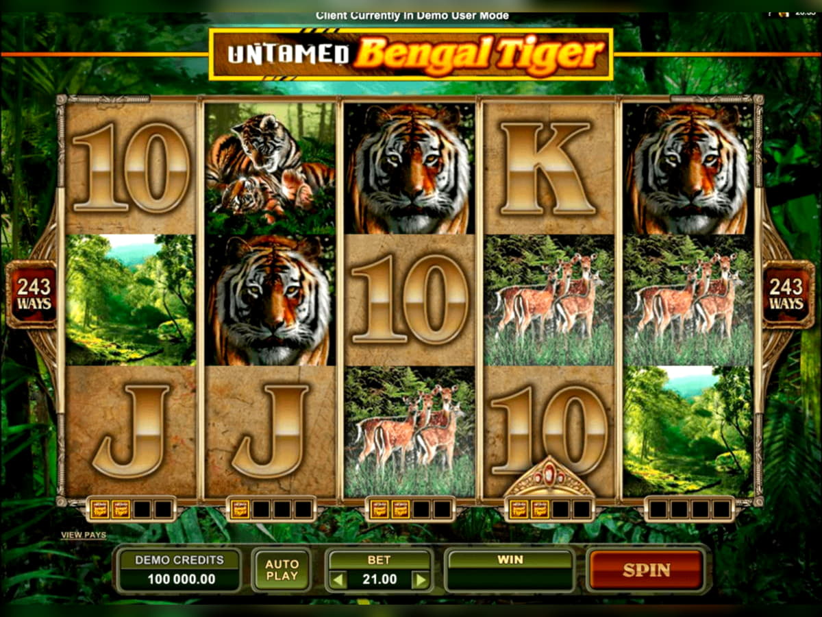 195 FREE Spins at Come On Casino