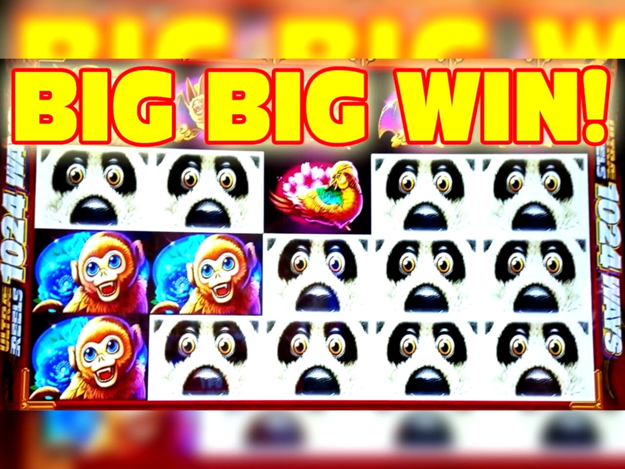 195% Welcome Bonus at Gratorama Casino