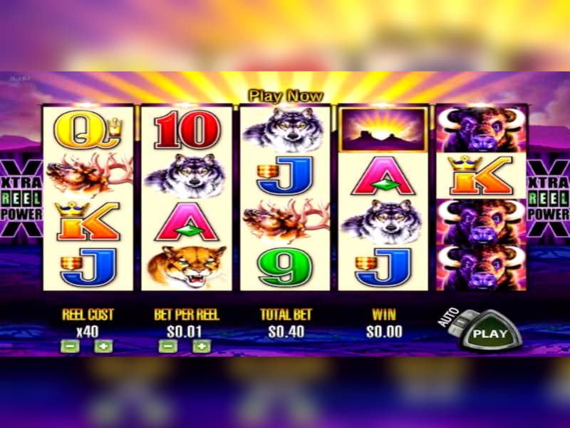 465% Deposit Match Bonus at Royal Panda Casino