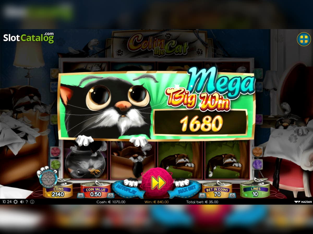 €777 Daily freeroll slot tournament at Betwinner Casino