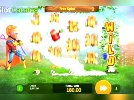 £222 Online Casino Tournament at Royal Panda Casino