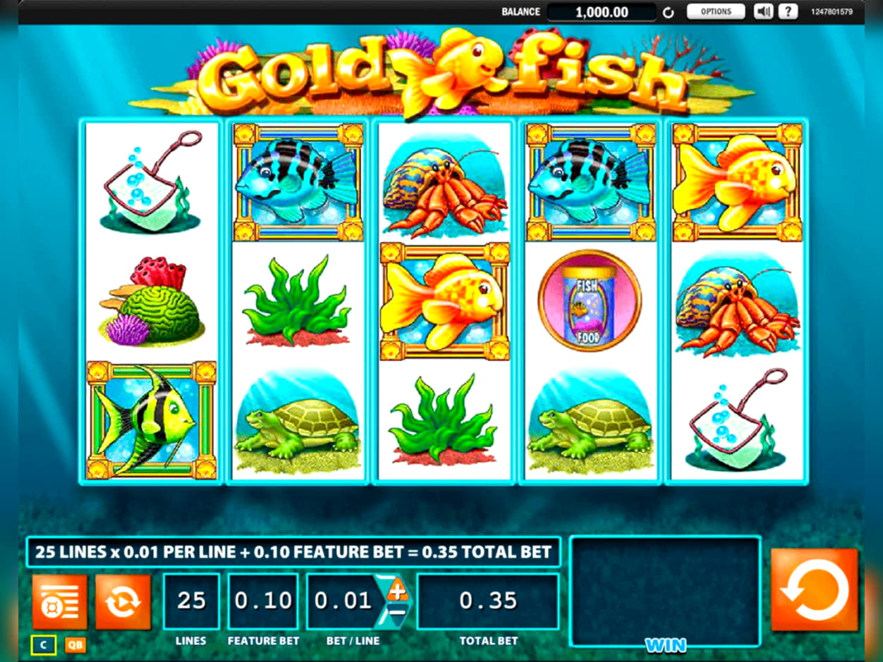 EUR 165 Free chip at Slotty Dubai Casino