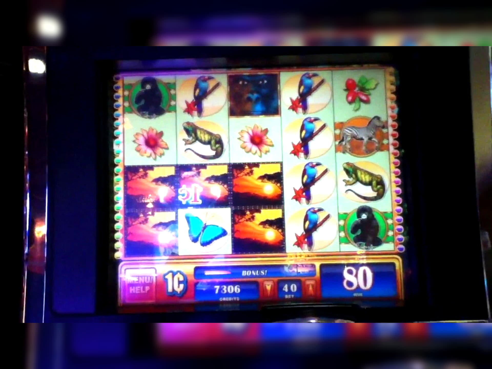 $830 NO DEPOSIT at Betwinner Casino