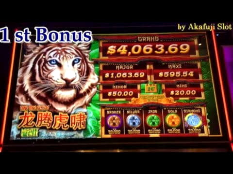 255% Match Bonus at Inter Casino