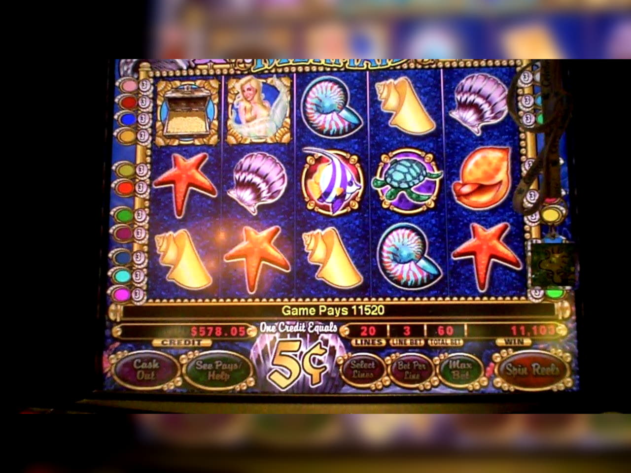 $3455 No Deposit at Leo Dubai Casino