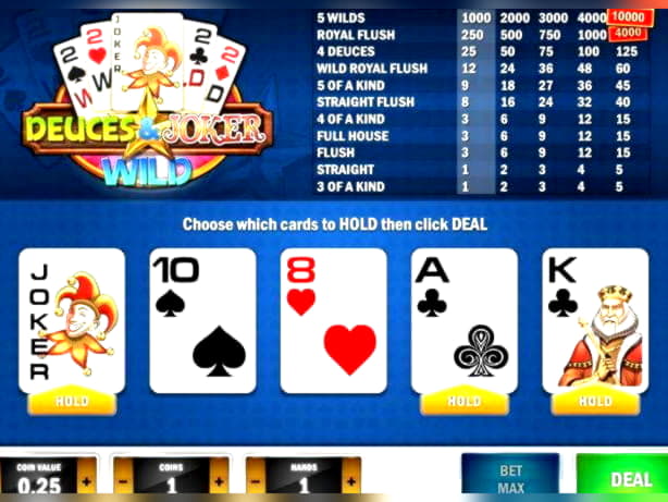 110 free spins casino at Betwinner Casino