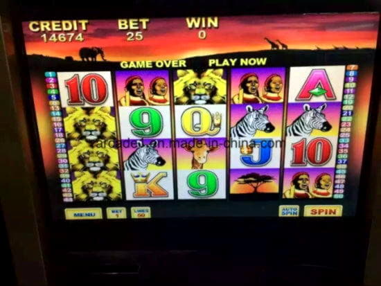 €455 No deposit at Betwinner Casino