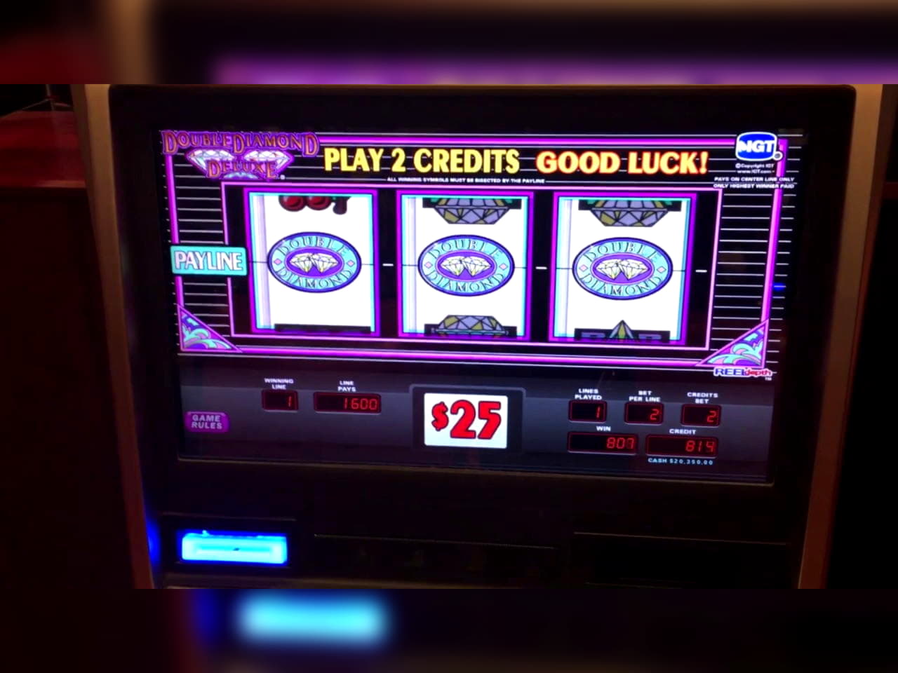 145 FREE Spins at Slotty Dubai Casino