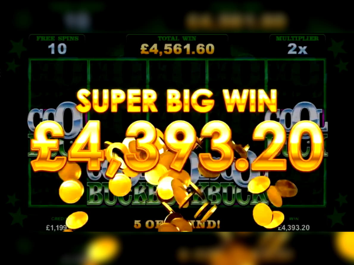 230 free spins no deposit casino at CoolCat Casino