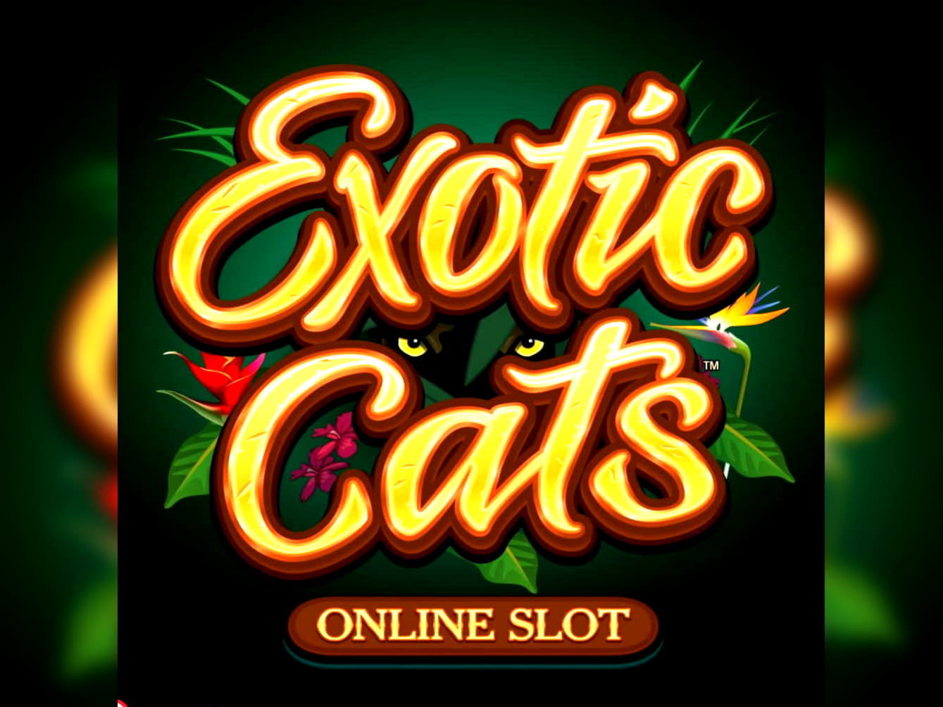 £3675 No deposit bonus casino at Royal Panda Casino