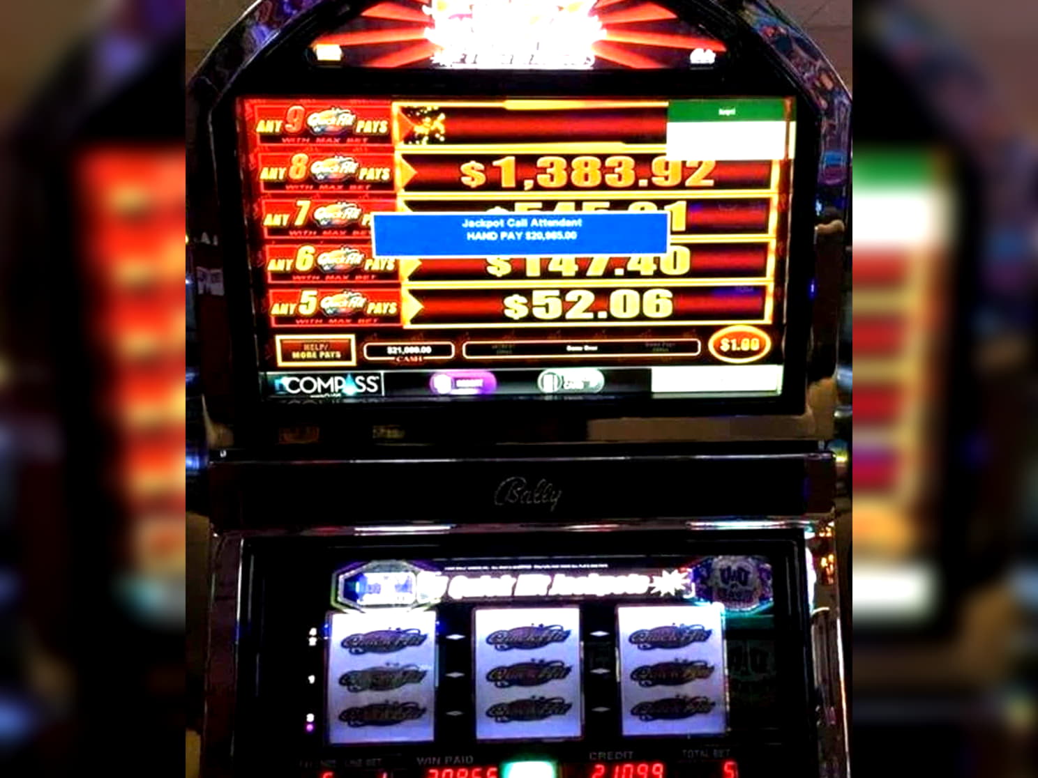 590% Match Bonus at CoolCat Casino
