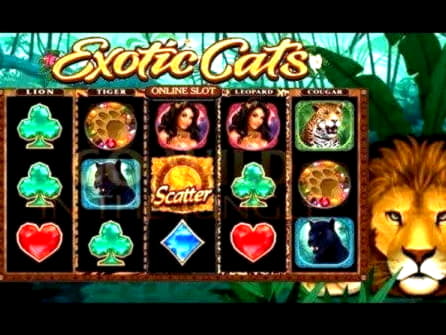 £120 free chip casino at Karamba Casino