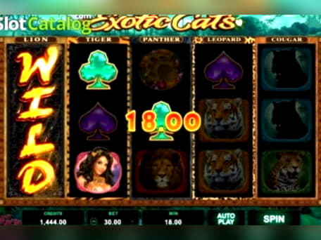 ﻿$2415 NO DEPOSIT at London Casino 