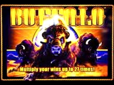 €222 Casino Tournament at Mongoose Casino