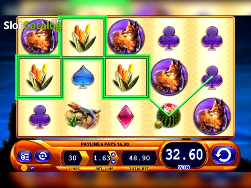 75 free spins no deposit at BoDubai Casino