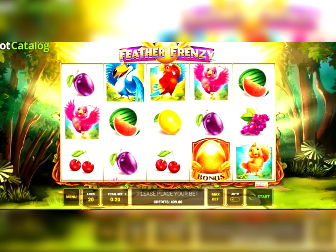 EUR 345 Daily freeroll slot tournament at Lucky Fortune Casino 