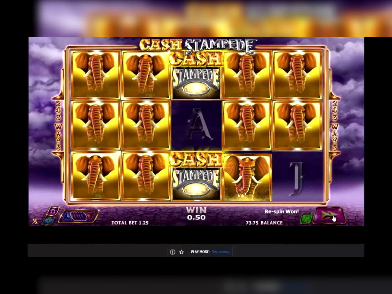 980% Match at a casino at Mongoose Casino