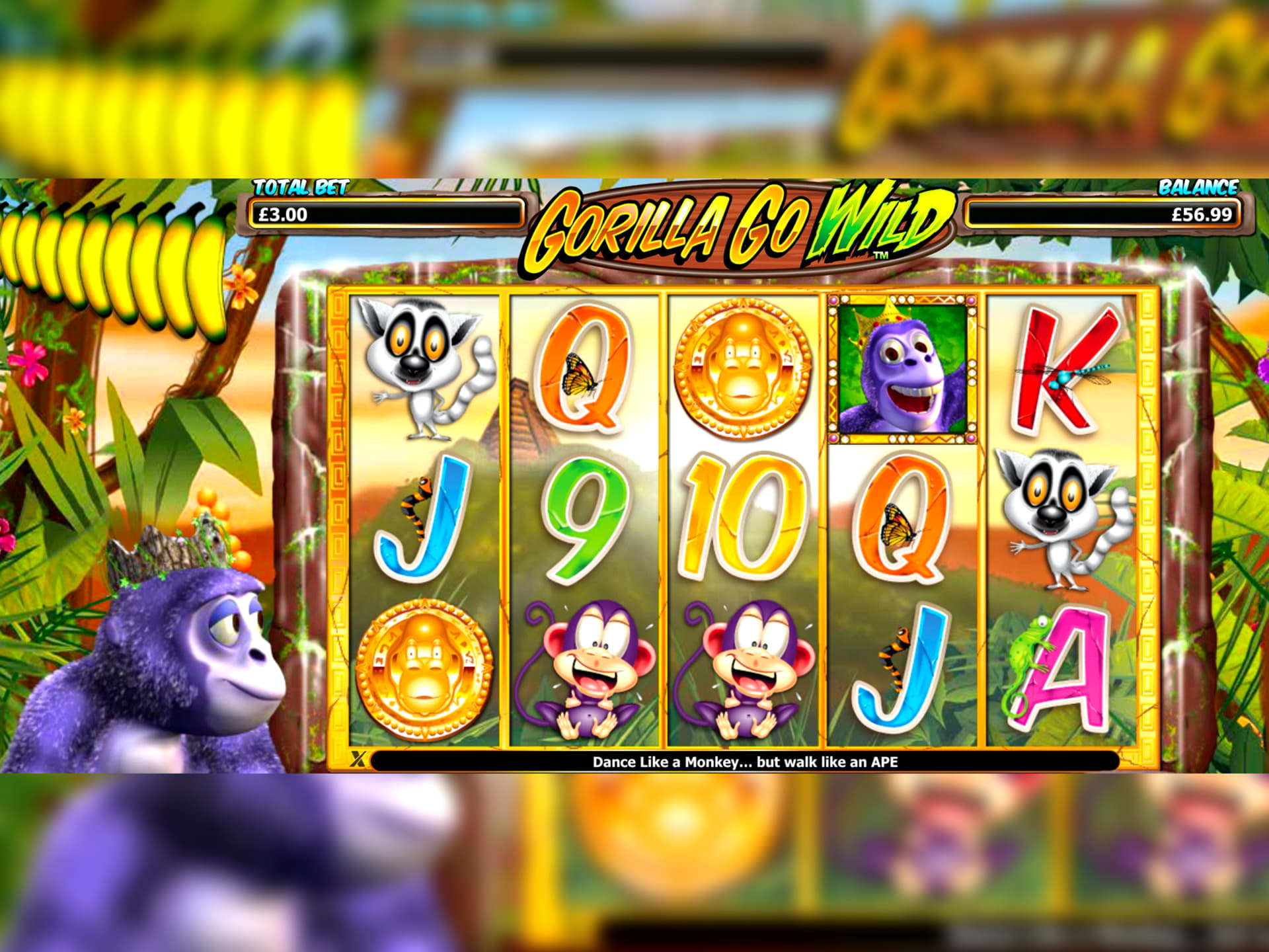 $800 NO DEPOSIT at Netherlands Casino 