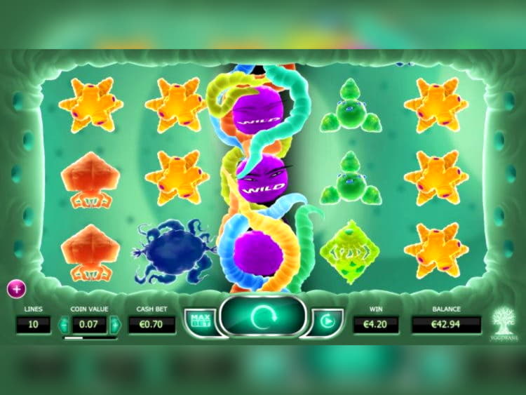 55 free spins no deposit at BoVegas Casino