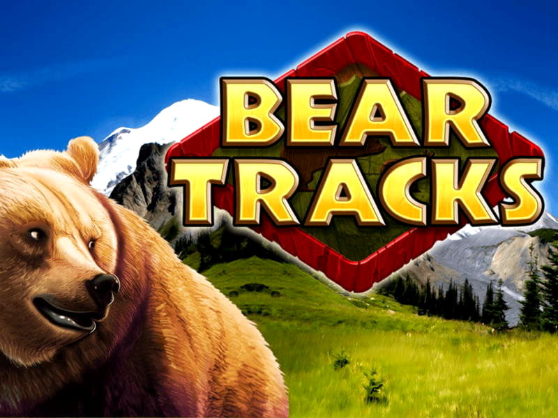 205 free spins at Canada Casino 