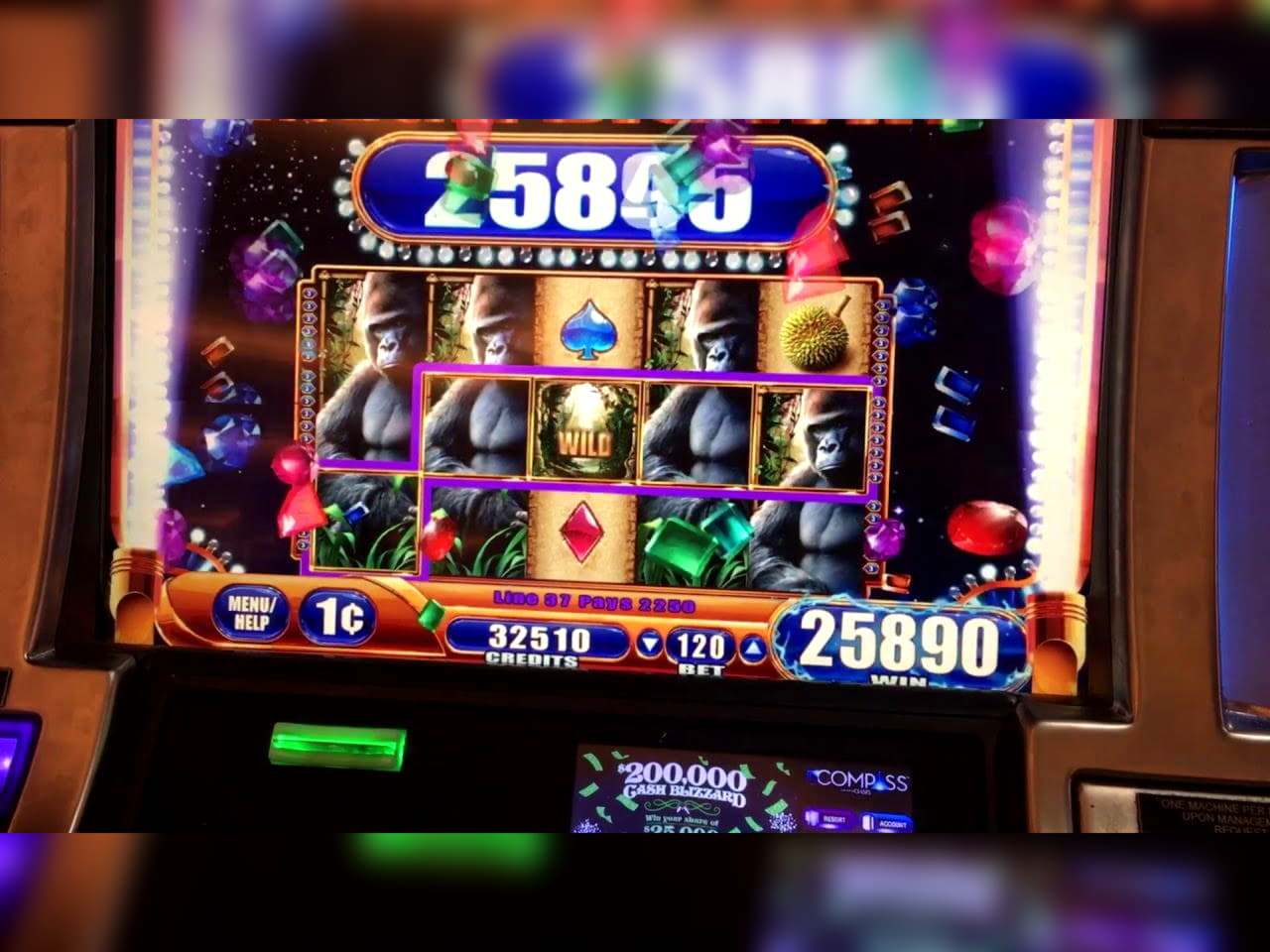 EUR 515 Casino tournaments freeroll at Slotty Dubai Casino