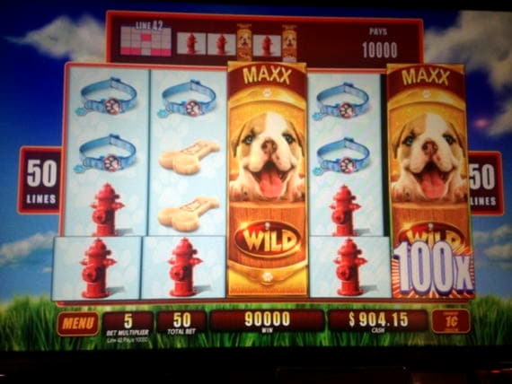 910% Best Signup Bonus Casino at Leo Dubai Casino