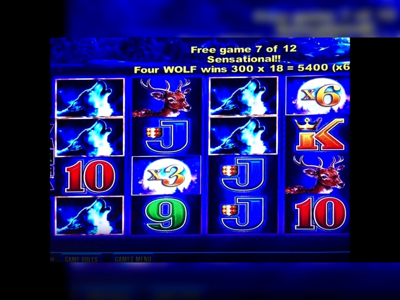370% Match at a casino at Royal Panda Casino