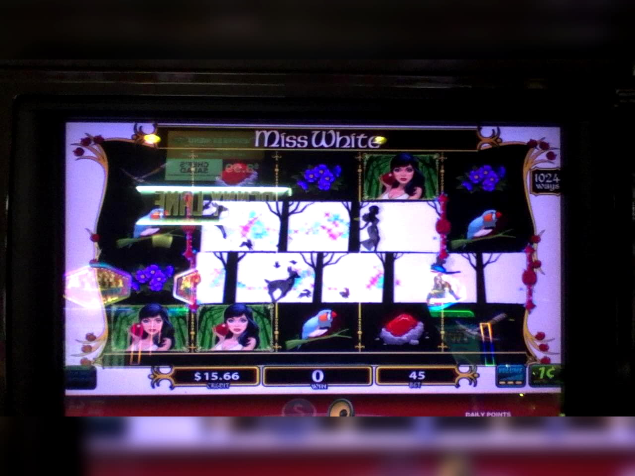 EURO 4300 No deposit bonus code at Mongoose Casino