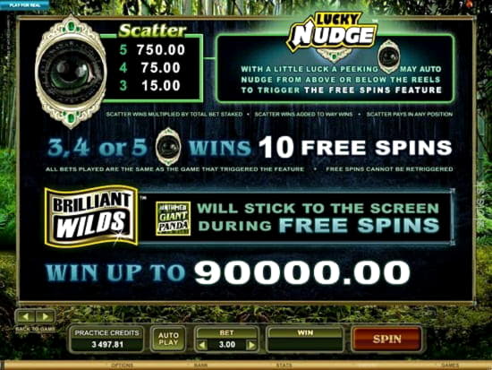 £785 Tournament at Sloto Cash Casino