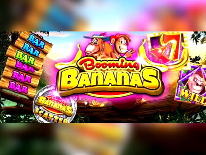 265 free spins casino at Hopa Casino